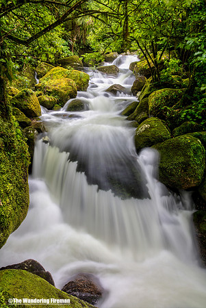 Wairere Falls lower section in New Zealand 5