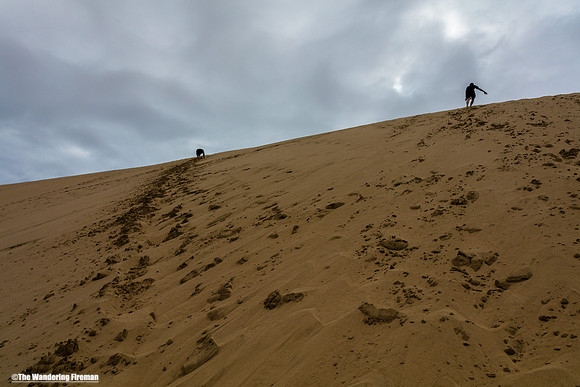The Te Paki sand dunes of the north island of New Zealand
