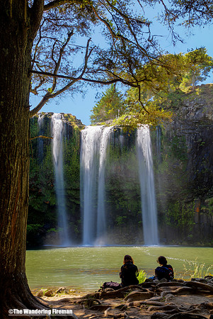 Whangarei Falls in Whangarei New Zealand 3
