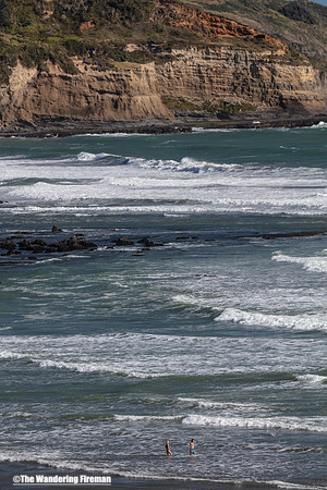 A view of the coastal beauty of New Zealand