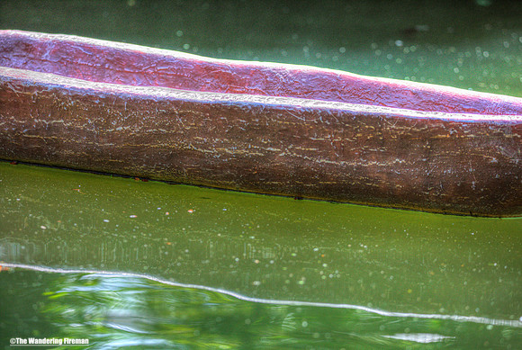 Artistic view of a canoe in New Zealand
