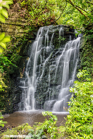 Horseshoe Falls in New Zealand