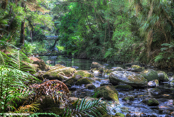 The lower Hatea River in New Zealand
