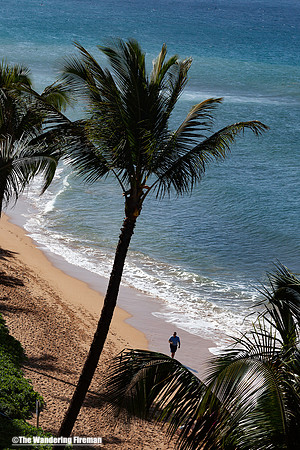 Beach walker in Maui Hawaii