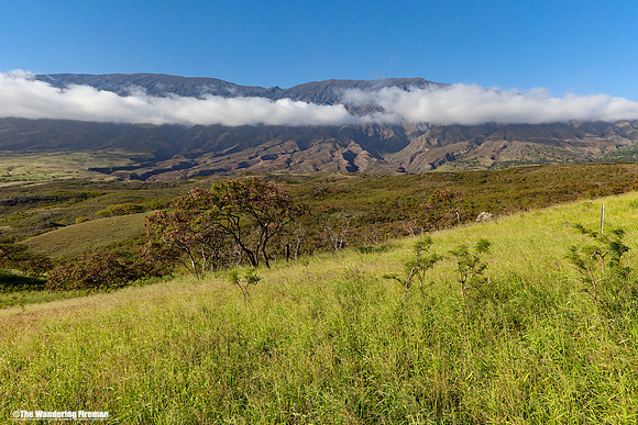 Landscape of Maui Hawaii