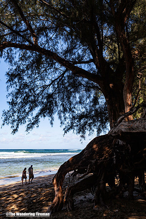 North beach of Kauai Hawaii