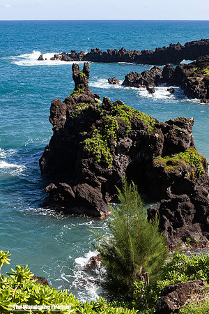 Rocky lava coast on Maui Hawaii