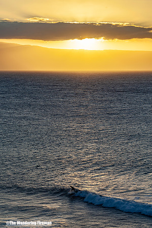 Surfer riding a wave in Maui Hawaii