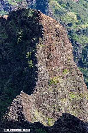 Waimea Canyon in Kauai Hawaii 14