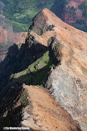 Waimea Canyon in Kauai Hawaii 20