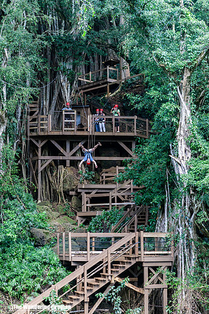 Zip Lines in Kauai Hawaii