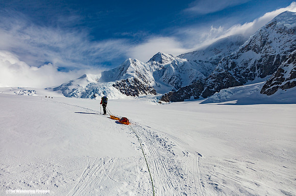 Pulling our sleds in Denal in Alaska, the highest mountain in North Americai