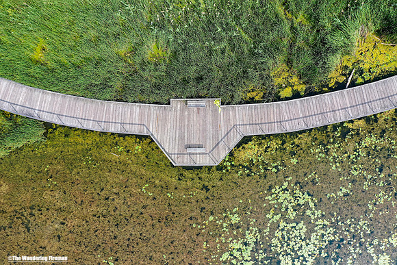 Boardwalk throug a swamp