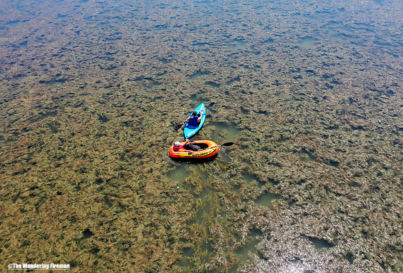 Kayaks on a swampy pond
