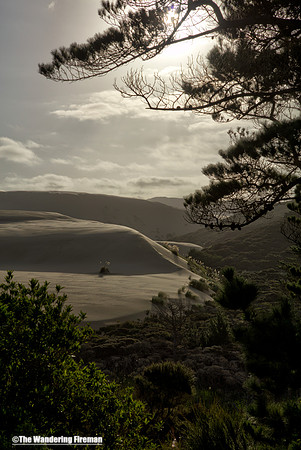 The Te Paki sand dunes in north New Zealand