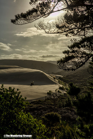 The Te Paki sand dunes of north New Zealand