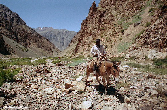 An Argentine Gaucho horseback rider on the trail to Aconcagua
