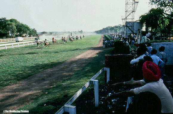 Horse racing in New Delhi India