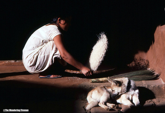 Nepalese girl separating wheat from chaff