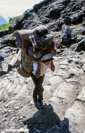 Porter under a heavy load on a Nepalese trail