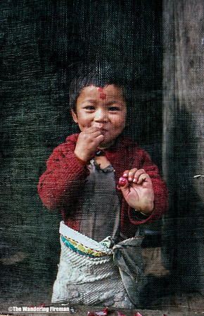 Young child behind a screen door in Nepal