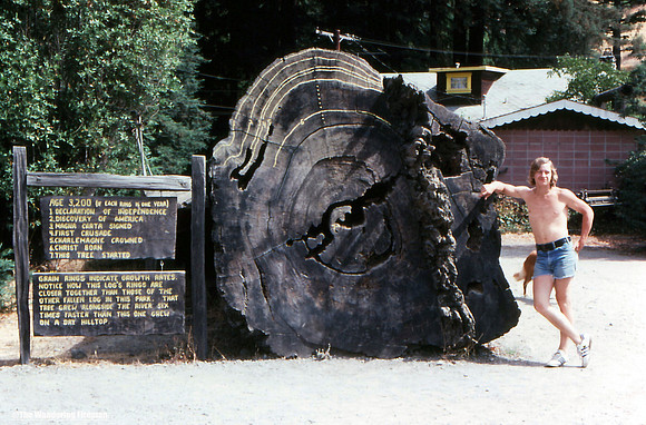 Rich posing in front of a very old Redwood Tree in Myers Flat California