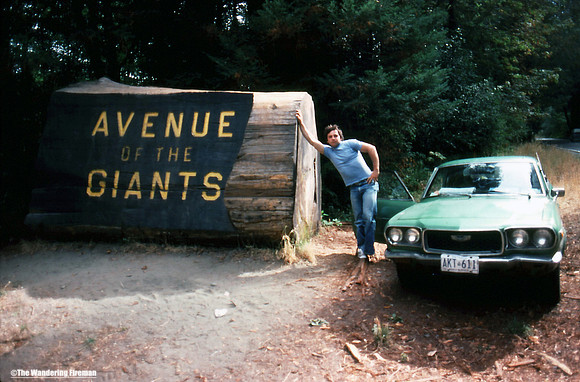 The entrance to Avenue of the Giants Redwood Forest in California