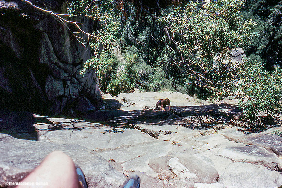 Rich rock climbing up lower Yosemite Falls in California