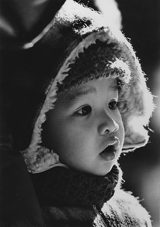 Young boy gazing intently