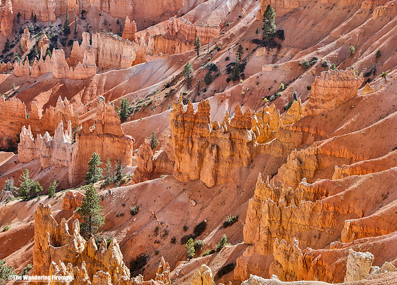 Bryce Canyon