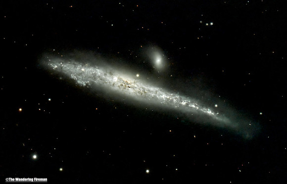 The Whale Galaxy