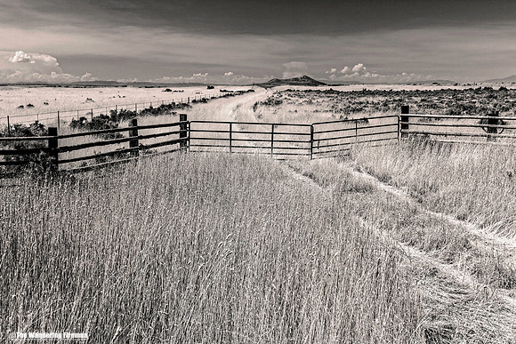 South Utah landscape in monochrome