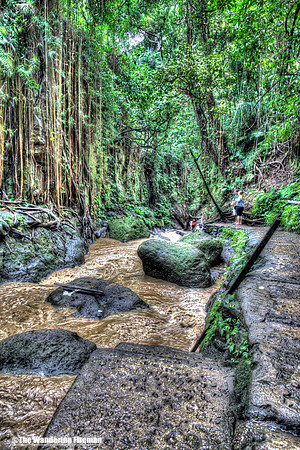 Swollen river near Ubud in Bali Indonesia