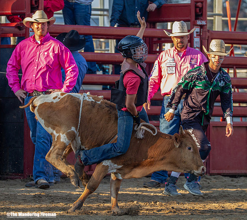 Leon Iowa rodeo calf busting event