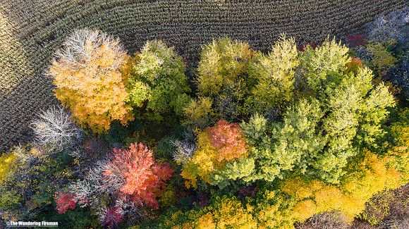 The beauty of fall season in Ontario