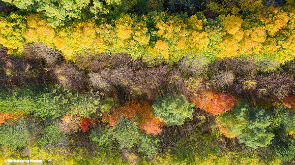 The colours of fall in Ontario