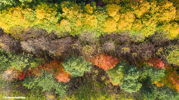 The colours of fall season in Ontario