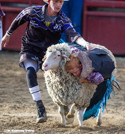 Leon Iowa rodeo children critter scramble