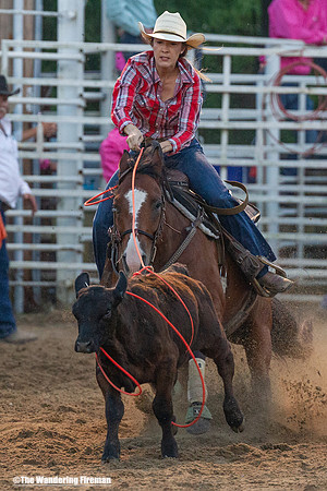 Calf Roping at the Leon Iowa Rodeo