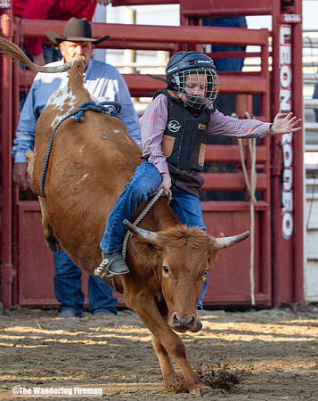 Leon Iowa rodeo calf busting event