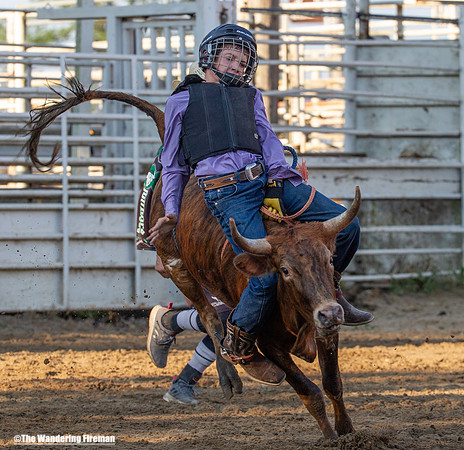 Leon Iowa rodeo calf busting event
