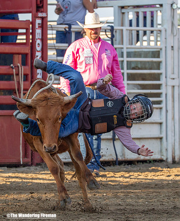 Leon Iowa rodeo calf busting event