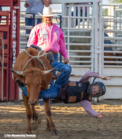 Leon Iowa rodeo calf busting event