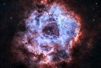 The Rosette Nebula