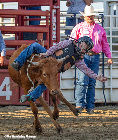 Leon Iowa rodeo calf busting event
