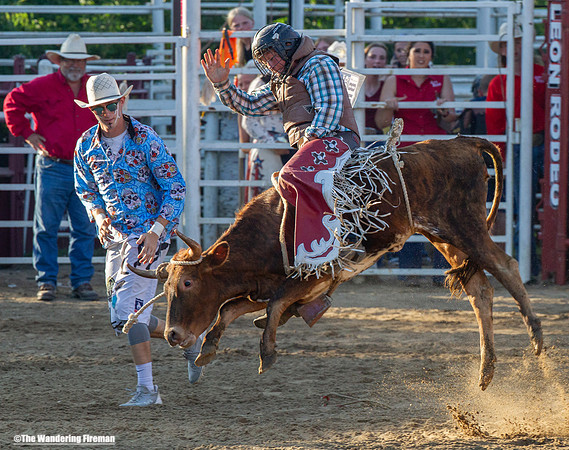 Leon Iowa rodeo calf busting event