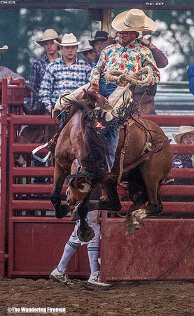 Saddle Bronc Riding at the Leon Iowa Rodeo