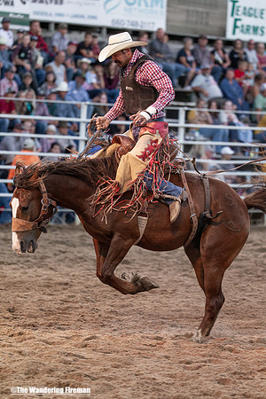 Leon Iowa rodeo rough stock bare back riding event
