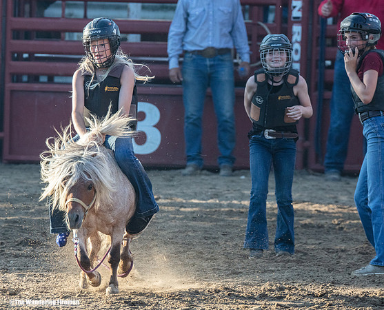 Leon Iowa rodeo Wild Pony event