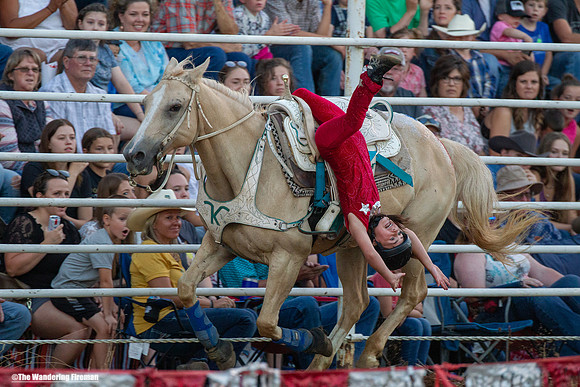 Leon Iowa rodeo trained horse performance